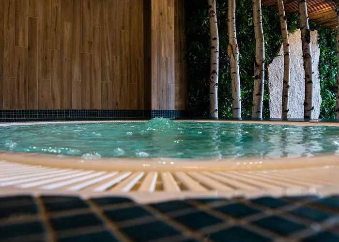 Grey 3* Szklarska Poręba